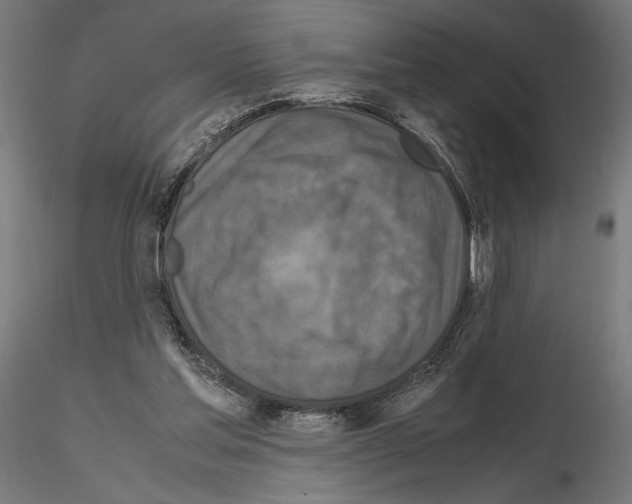 X0000115180205200912091055