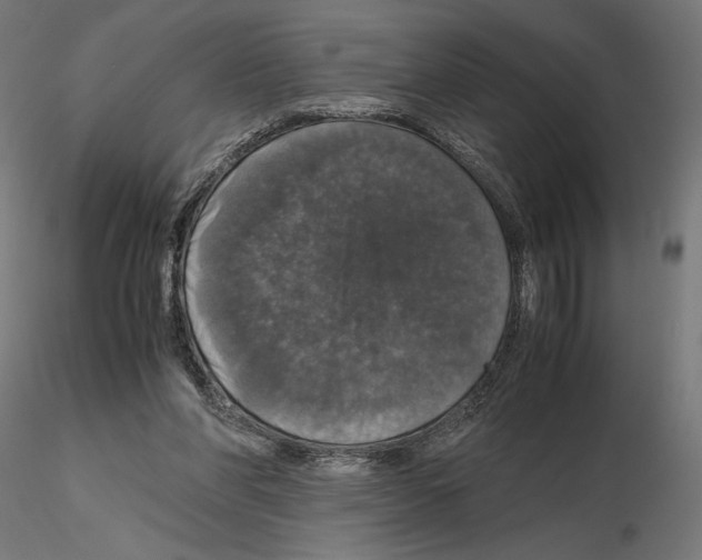 X0000115180206200912091055