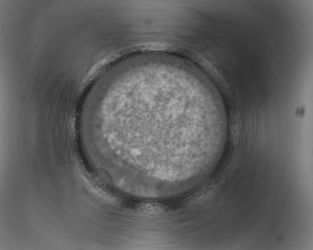 X0000115180207200912091055