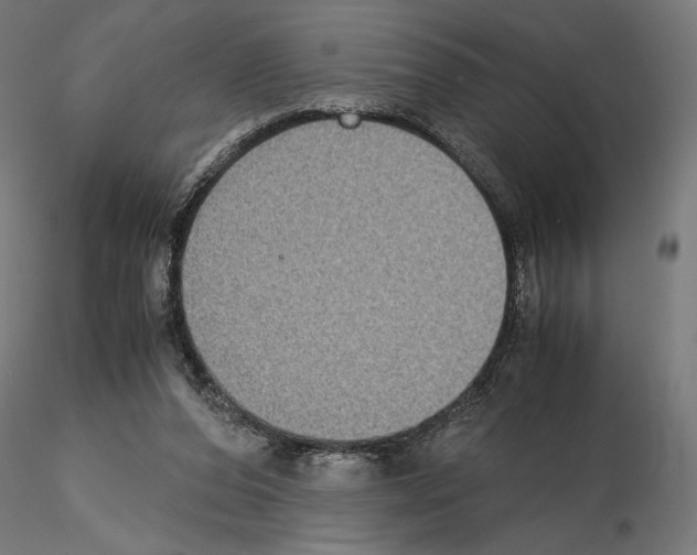 X0000115180208200912091055