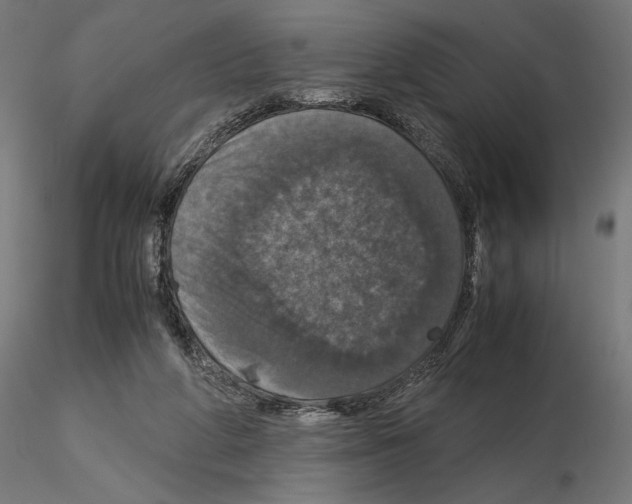 X0000115180210200912091055