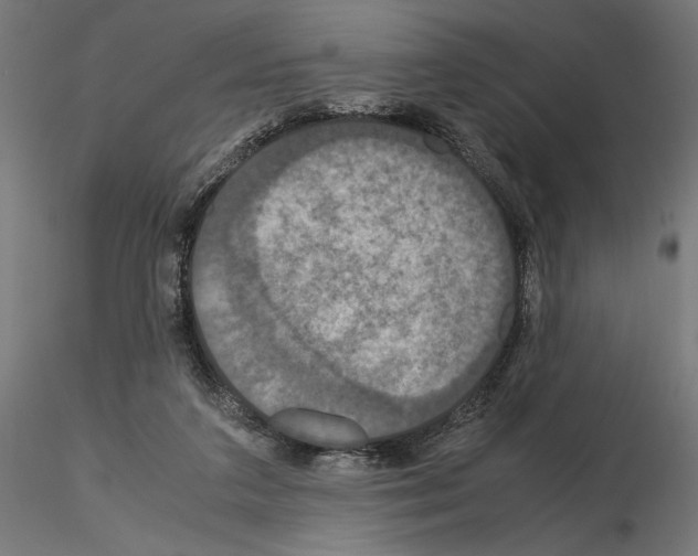 X0000115180211200912091055