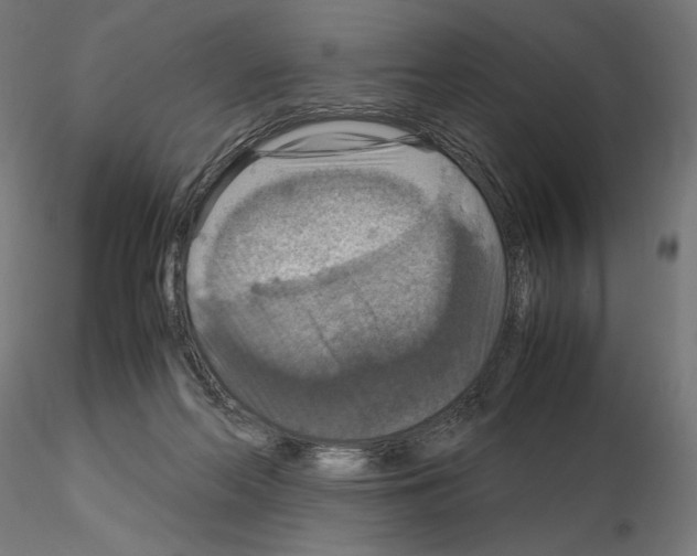 X0000115180214200912091055