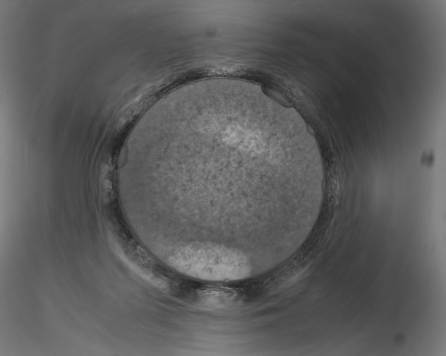 X0000115180215200912091055