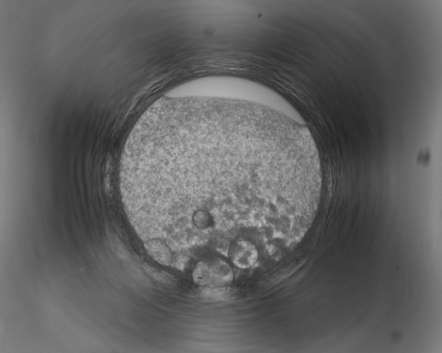 X0000115180216200912091055