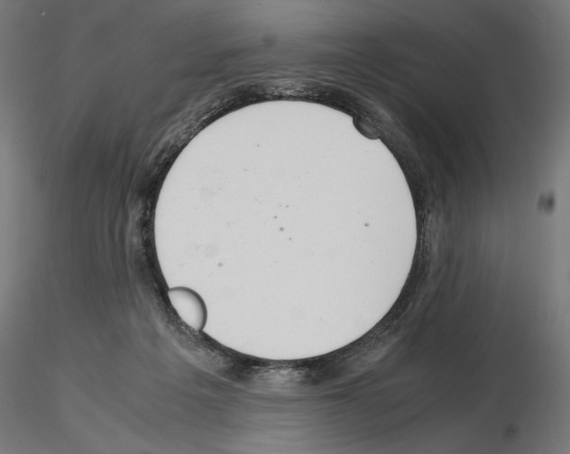 X0000115180217200912091055