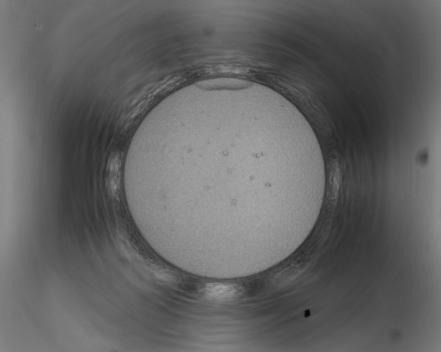 X0000115180218200912091055