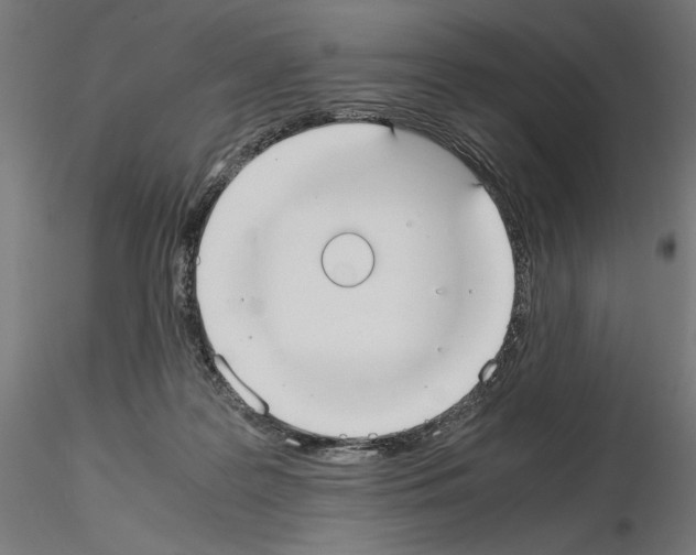 X0000115180219200912091055