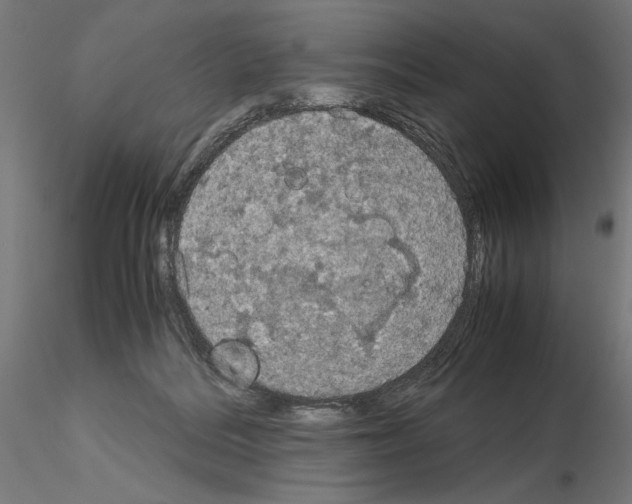 X0000115180220200912091055