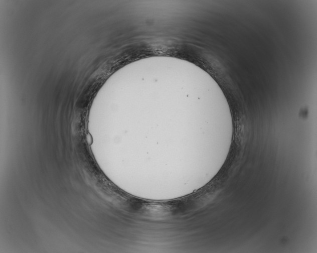 X0000115180221200912091055