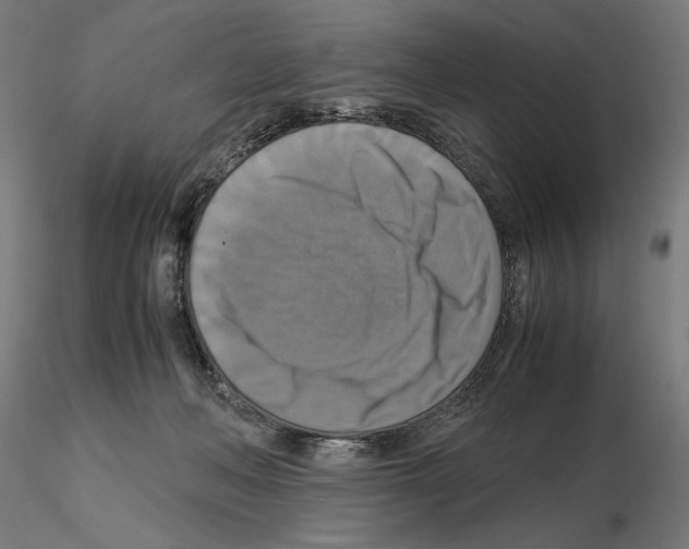 X0000115180222200912091055