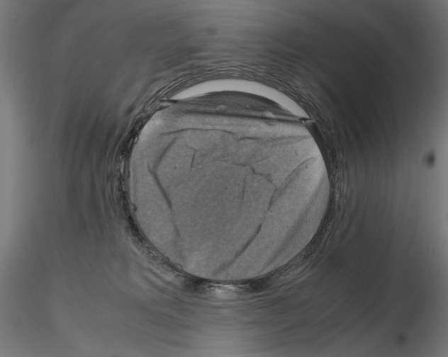 X0000115180229200912091055