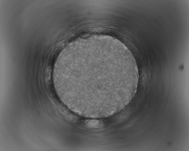 X0000115180230200912091055