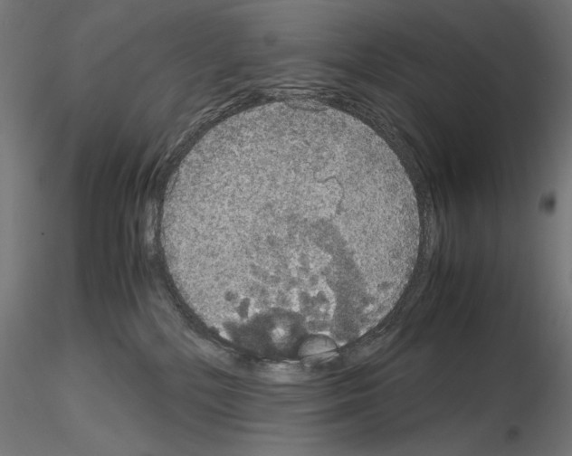 X0000115180232200912091054