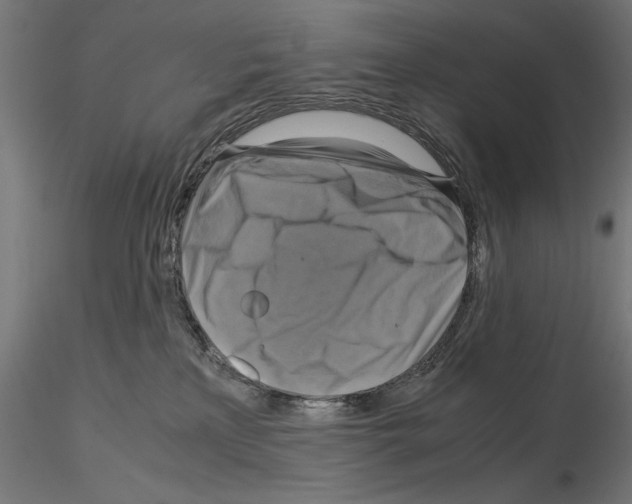 X0000115180233200912091054