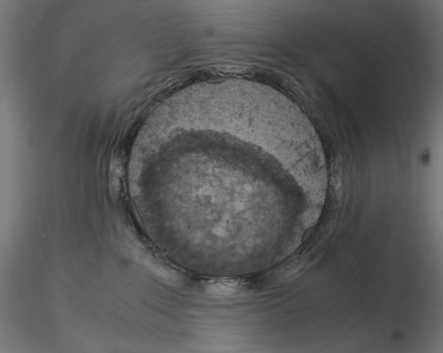 X0000115180235200912091054