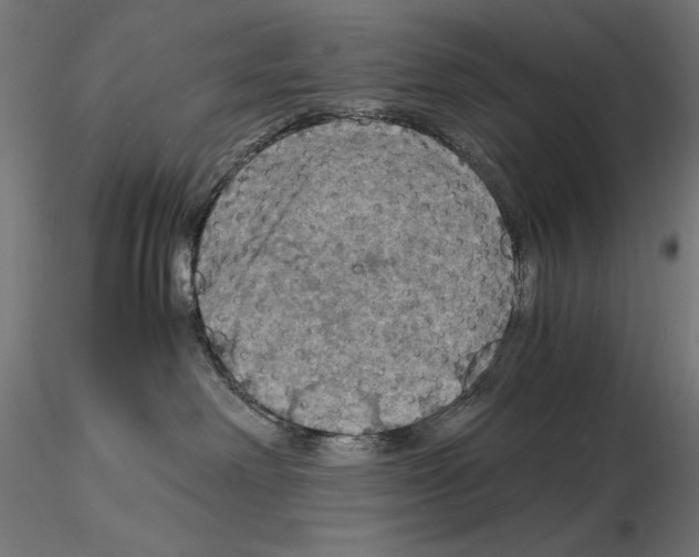 X0000115180238200912091054