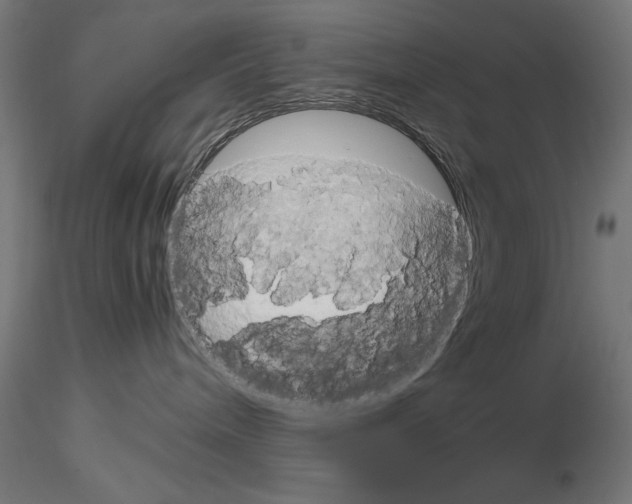 X0000115180240200912091054