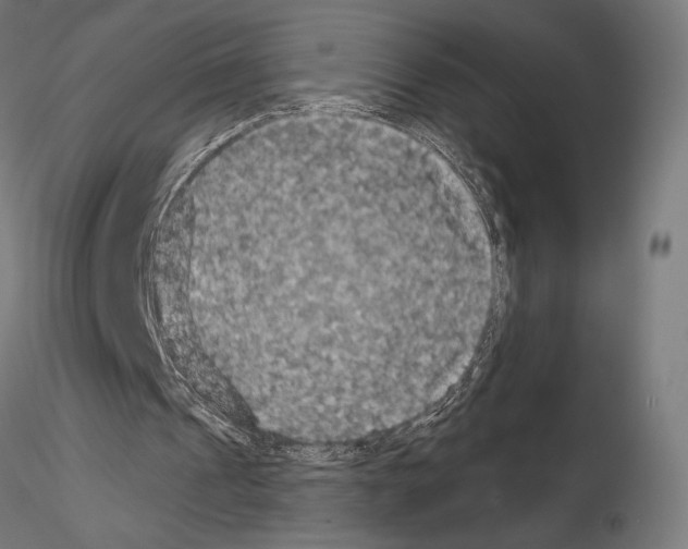 X0000115180241200912091054