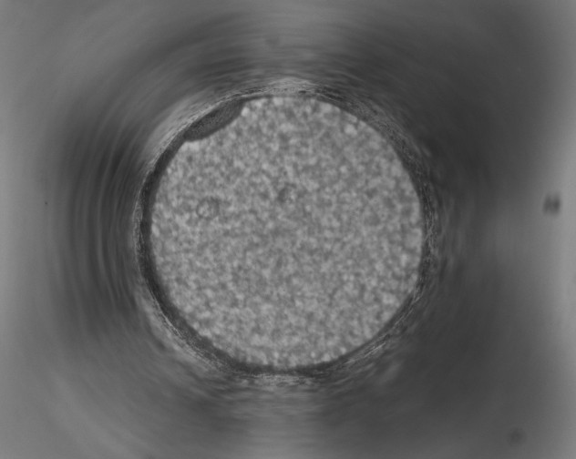 X0000115180242200912091054