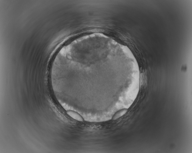 X0000115180243200912091054