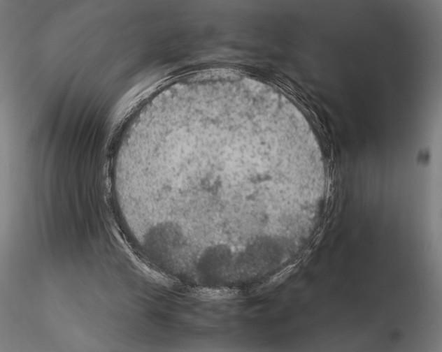 X0000115180245200912091054