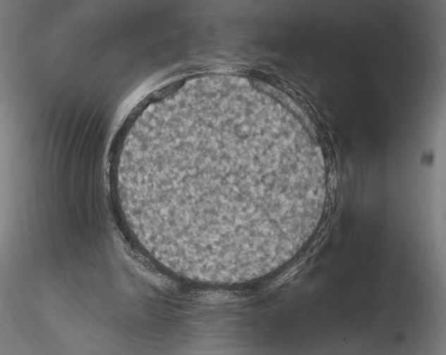 X0000115180246200912091054