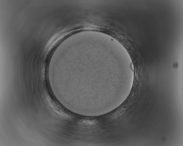 X0000115180247200912091054