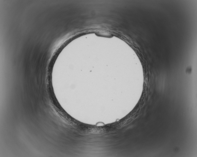 X0000115180248200912091054