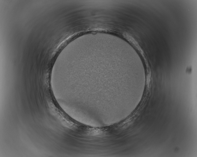 X0000115180249200912091054