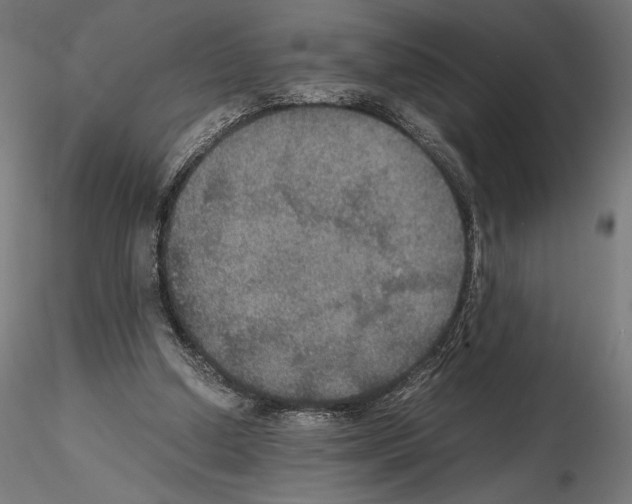 X0000115180250200912091054