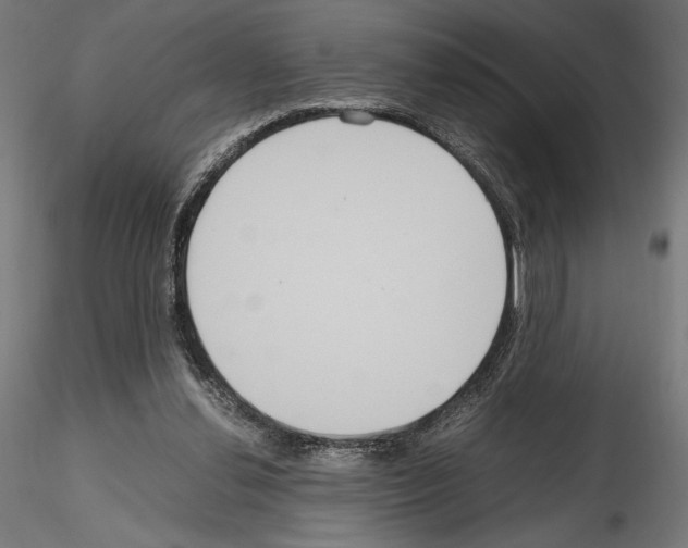 X0000115180252200912091054