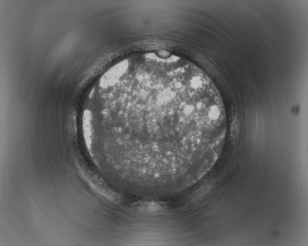 X0000115180254200912091054