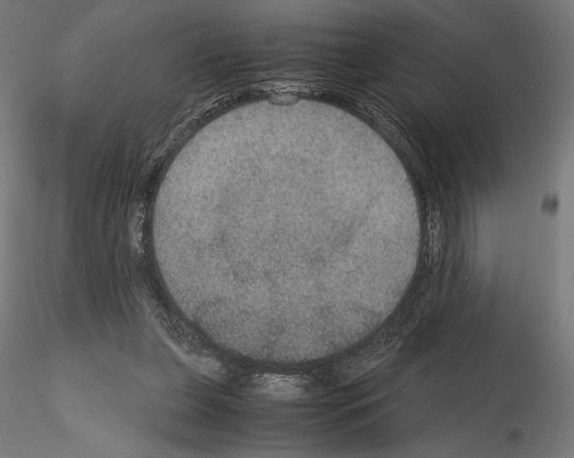 X0000115180255200912091054