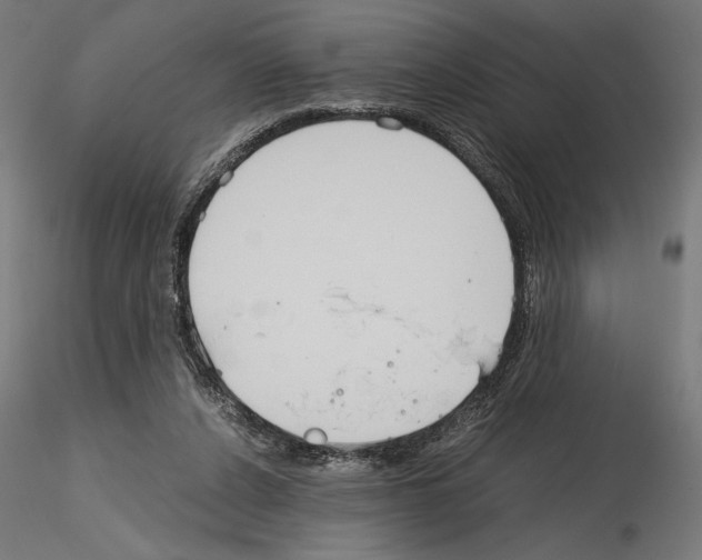 X0000115180256200912091054