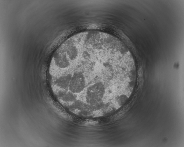 X0000115180257200912091054