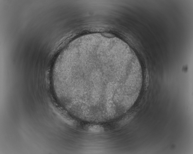 X0000115180258200912091054