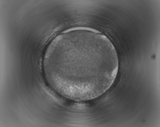 X0000115180260200912091054