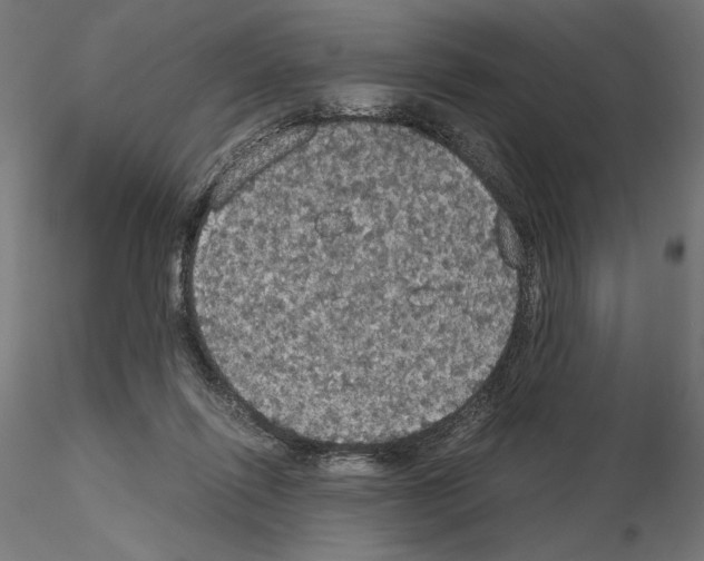 X0000115180262200912091054