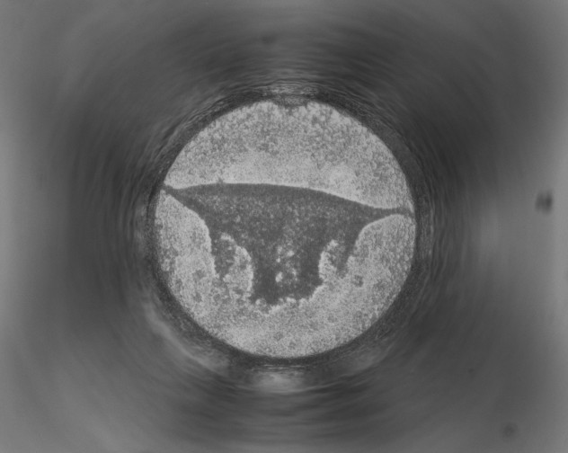 X0000115180263200912091054