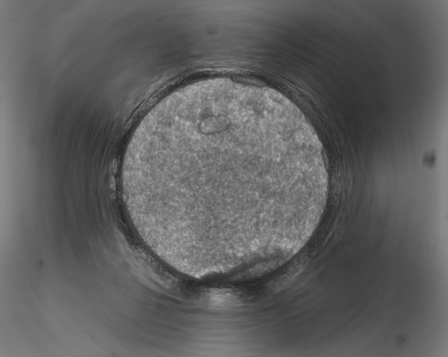 X0000115180264200912091054