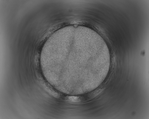 X0000115180265200912091054