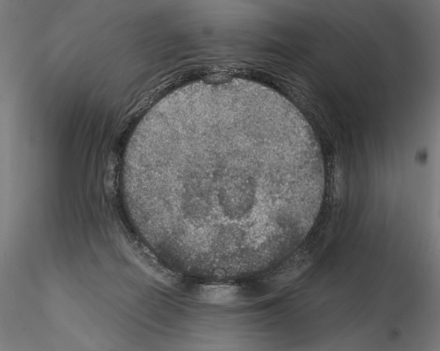 X0000115180266200912091054