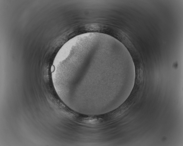 X0000115180267200912091054