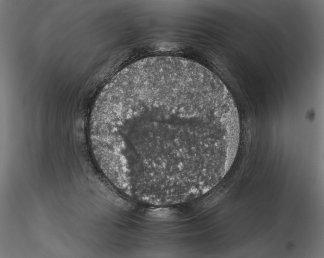 X0000115180269200912091054