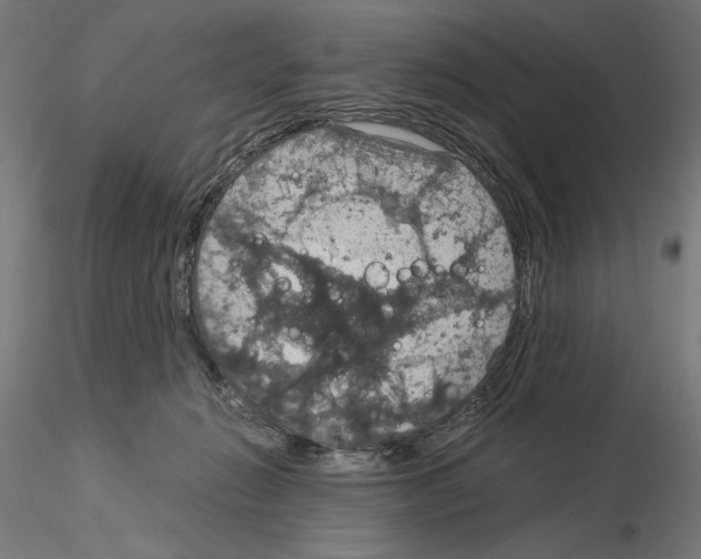 X0000115180270200912091054