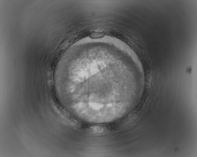 X0000115180272200912091054