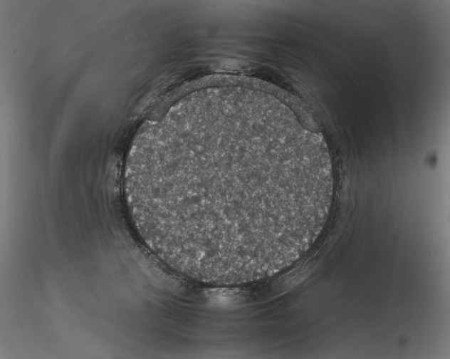 X0000115180273200912091054