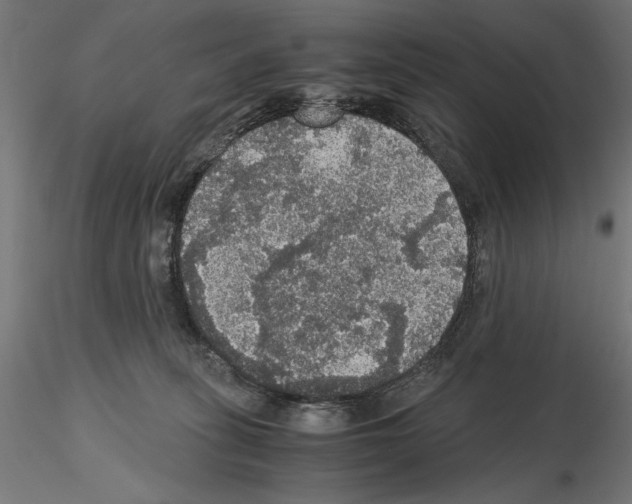 X0000115180275200912091054