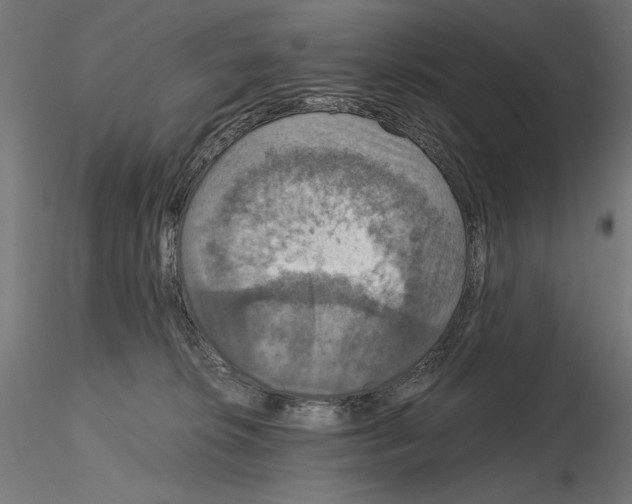 X0000115180276200912091054